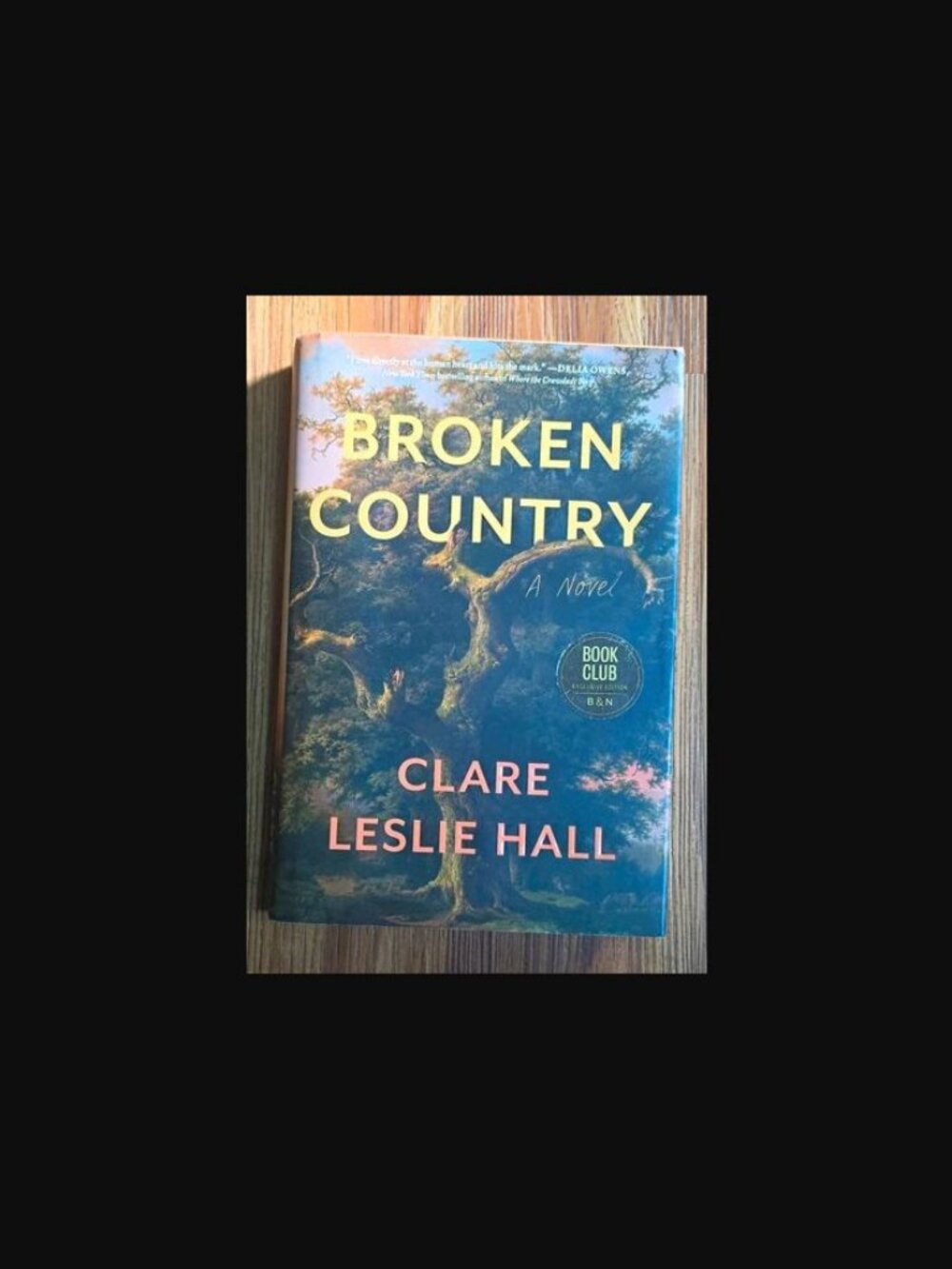 Broken Country by Clare Leslie Hall Hardcover Book Club Edition 2025